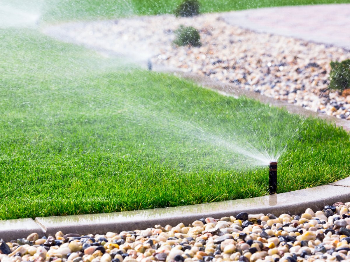 Parker water offers ways to save water, money with rebate programs